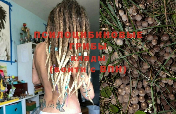 гашик Нягань