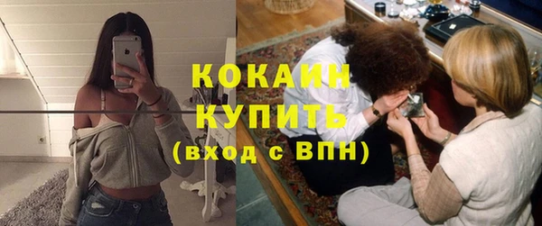 винт Няндома