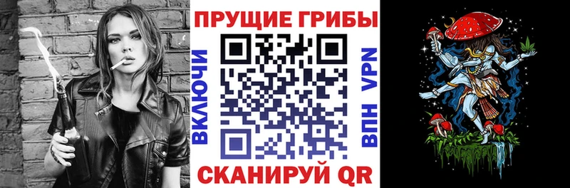 купить   shop какой сайт  Псилоцибиновые грибы мицелий  Белоярский 